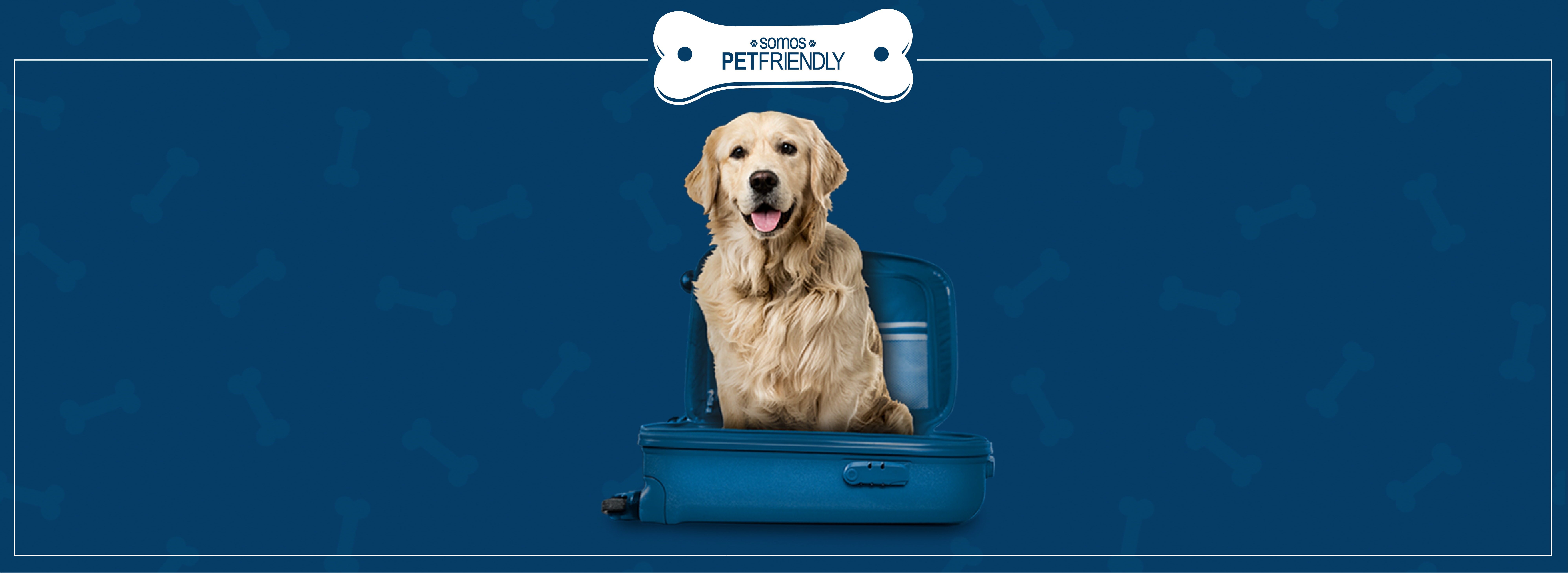 dogfriendlyalargado_paranuestraweb