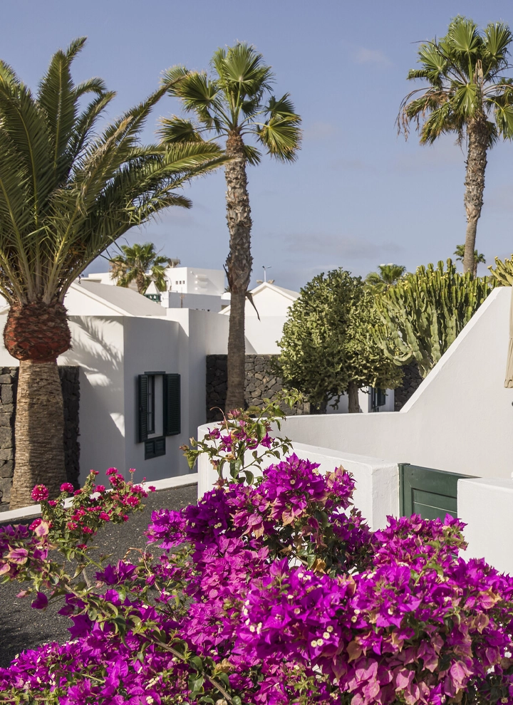 Bungalós del hotel ILUNION Costa Sal rodeados de flores y palmeras