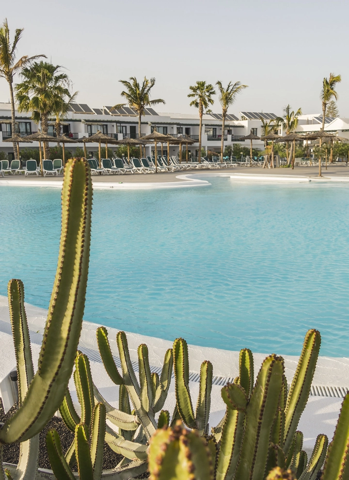 En la imagen aparece una piscina, con cactus en primer plano y, de fondo, bungalós blancos rodeados de palmeras
